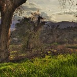 hdr-three-dying-partirarchs