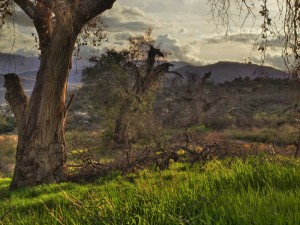 hdr-three-dying-partirarchs