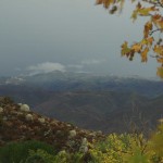 pics-from-morning