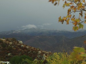 pics-from-morning