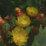prickly-pear